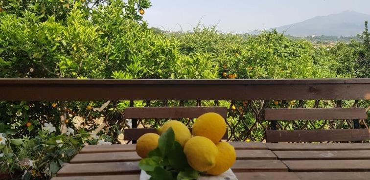 L'Aranceto Villa Acireale Luaran gambar