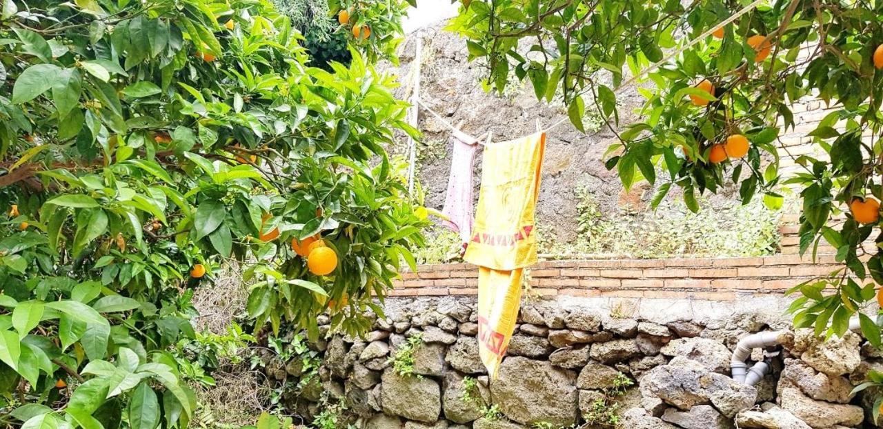 L'Aranceto Villa Acireale Luaran gambar