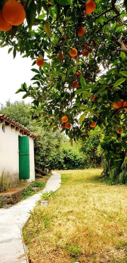 L'Aranceto Villa Acireale Luaran gambar