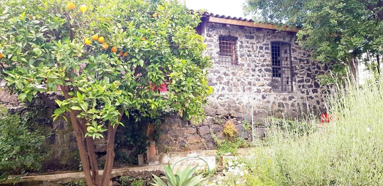L'Aranceto Villa Acireale Luaran gambar